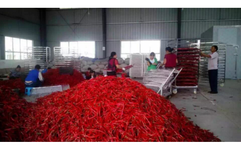 2021貴州辣椒加工產(chǎn)值150億元以上，空氣源熱泵烘干迎來爆發(fā)機遇